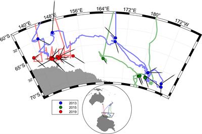 Surfacing rates, swim speeds, and patterns of movement of Antarctic blue whales